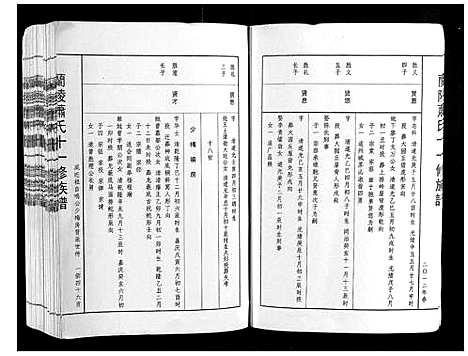 [下载][兰陵萧氏十一修族谱_不分卷]江西.兰陵萧氏十一修家谱_十三.pdf