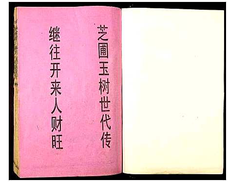 [下载][城东东山谢氏八九联修族谱]江西.城东东山谢氏八九联修家谱_一.pdf