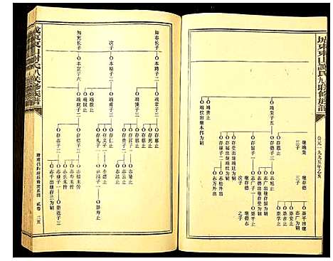 [下载][城东东山谢氏八九联修族谱]江西.城东东山谢氏八九联修家谱_二.pdf