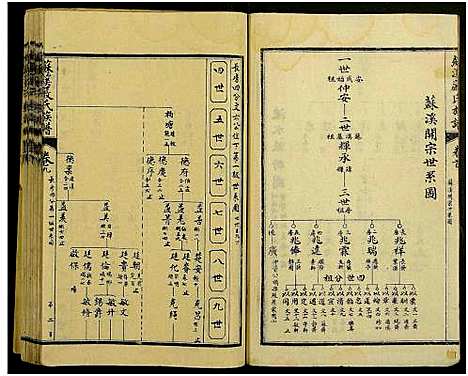 [下载][苏溪严氏族谱_20卷及卷首]江西.苏溪严氏家谱_七.pdf