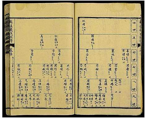 [下载][苏溪严氏族谱_20卷及卷首]江西.苏溪严氏家谱_十七.pdf