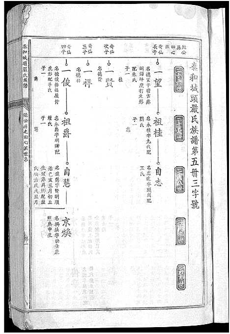 [下载][泰和城头严氏族谱_卷数不详_泰和严氏族谱]江西.泰和城头严氏家谱_三.pdf