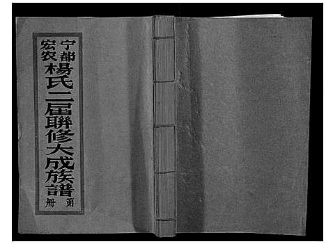 [下载][宁都宏农杨氏二届联修大成族谱_不分卷]江西.宁都宏农杨氏二届联修大成家谱_二.pdf