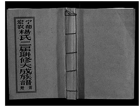 [下载][宁都宏农杨氏二届联修大成族谱_不分卷]江西.宁都宏农杨氏二届联修大成家谱_三.pdf