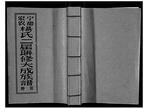 [下载][宁都宏农杨氏二届联修大成族谱_不分卷]江西.宁都宏农杨氏二届联修大成家谱_五.pdf