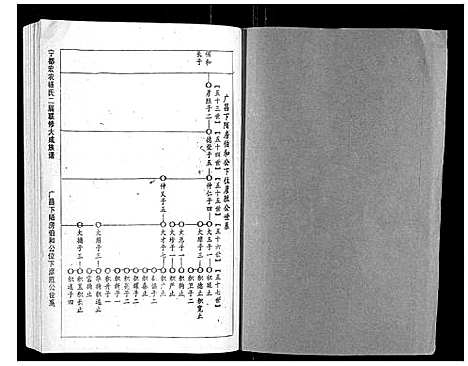 [下载][宁都宏农杨氏二届联修大成族谱_不分卷]江西.宁都宏农杨氏二届联修大成家谱_六.pdf