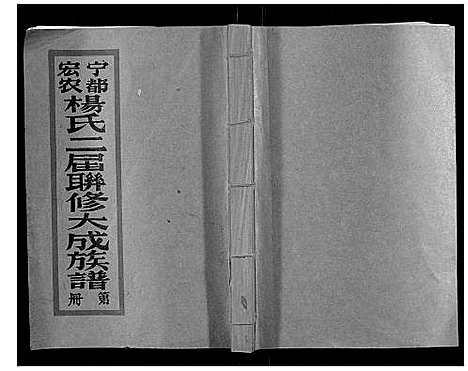 [下载][宁都宏农杨氏二届联修大成族谱_不分卷]江西.宁都宏农杨氏二届联修大成家谱_七.pdf