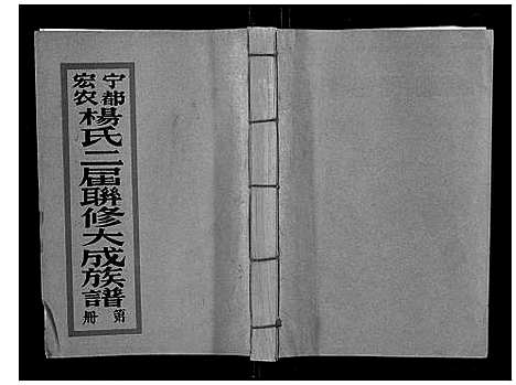 [下载][宁都宏农杨氏二届联修大成族谱_不分卷]江西.宁都宏农杨氏二届联修大成家谱_八.pdf