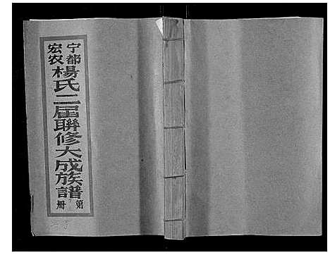 [下载][宁都宏农杨氏二届联修大成族谱_不分卷]江西.宁都宏农杨氏二届联修大成家谱_九.pdf