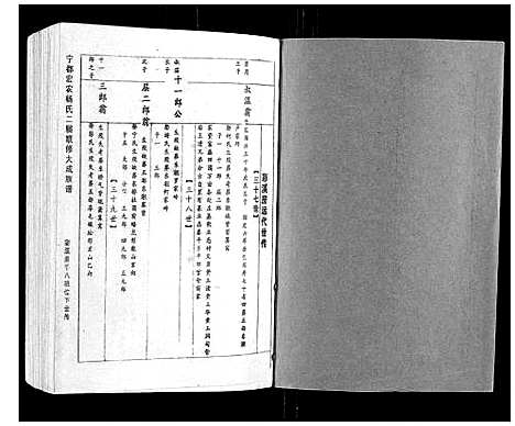 [下载][宁都宏农杨氏二届联修大成族谱_不分卷]江西.宁都宏农杨氏二届联修大成家谱_十.pdf