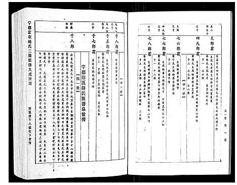 [下载][宁都宏农杨氏二届联修大成族谱_不分卷]江西.宁都宏农杨氏二届联修大成家谱_十.pdf