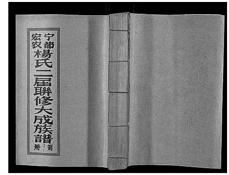 [下载][宁都宏农杨氏二届联修大成族谱_不分卷]江西.宁都宏农杨氏二届联修大成家谱_十一.pdf