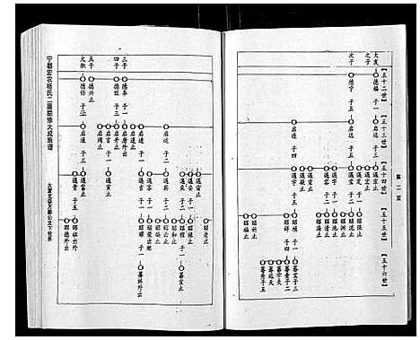 [下载][宁都宏农杨氏二届联修大成族谱_不分卷]江西.宁都宏农杨氏二届联修大成家谱_十二.pdf