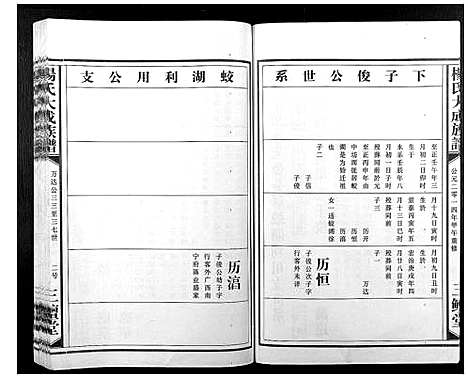 [下载][杨氏大成族谱]江西.杨氏大成家谱_十二.pdf