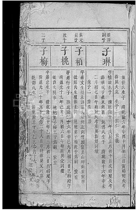 [下载][杨氏续修族谱_不分卷]江西.杨氏续修家谱_四.pdf