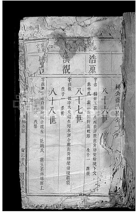 [下载][杨氏续修族谱_不分卷]江西.杨氏续修家谱_五.pdf