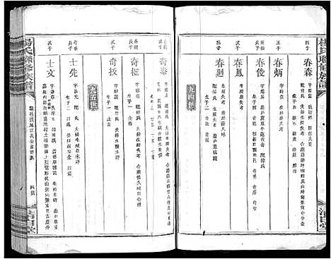 [下载][杨氏联修族谱_19卷]江西.杨氏联修家谱_十一.pdf