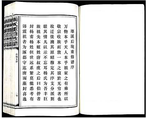 [下载][杨氏重修族谱_不分卷]江西.杨氏重修家谱_二.pdf