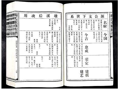 [下载][杨氏重修族谱_不分卷]江西.杨氏重修家谱_三.pdf