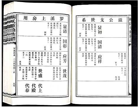 [下载][杨氏重修族谱_不分卷]江西.杨氏重修家谱_六.pdf