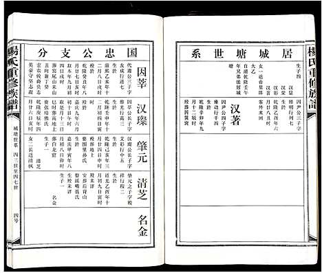 [下载][杨氏重修族谱_不分卷]江西.杨氏重修家谱_八.pdf