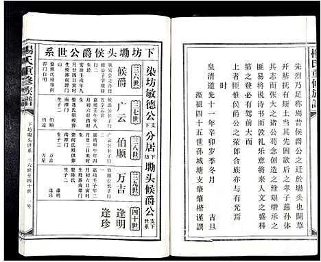 [下载][杨氏重修族谱_不分卷]江西.杨氏重修家谱_九.pdf