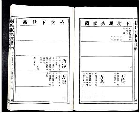 [下载][杨氏重修族谱_不分卷]江西.杨氏重修家谱_九.pdf