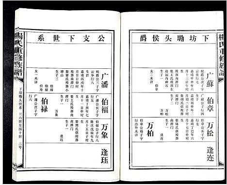 [下载][杨氏重修族谱_不分卷]江西.杨氏重修家谱_九.pdf