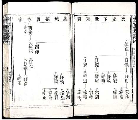 [下载][杨氏重修族谱_不分卷]江西.杨氏重修家谱_三.pdf