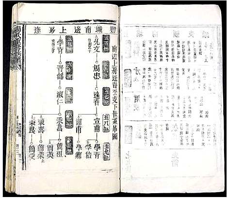 [下载][杨氏重修族谱_不分卷]江西.杨氏重修家谱_八.pdf