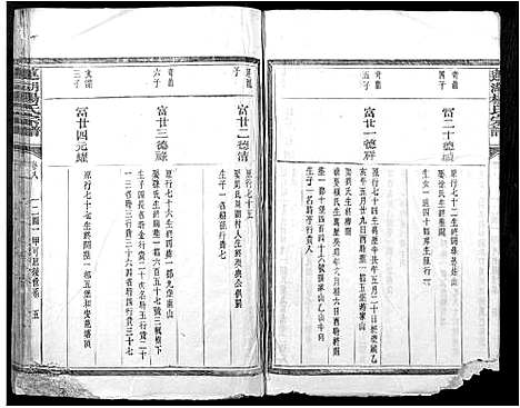 [下载][莲湖杨氏宗谱_17卷首末各1卷]江西.莲湖杨氏家谱_三.pdf