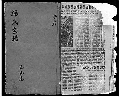 [下载][杨氏宗谱_16卷_含卷首_竟陵杨氏宗谱]江西.杨氏家谱_二.pdf