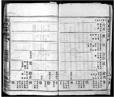 [下载][杨氏宗谱_16卷_含卷首_竟陵杨氏宗谱]江西.杨氏家谱_十.pdf