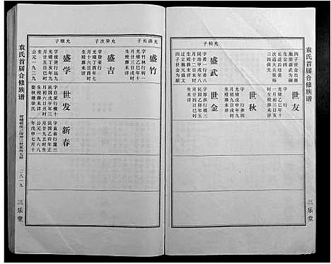 [下载][袁氏首届合修族谱]江西.袁氏首届合修家谱_十六.pdf