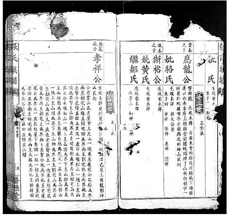 [下载][张氏族谱]江西.张氏家谱_八.pdf