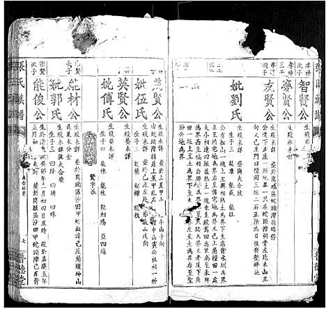 [下载][张氏族谱]江西.张氏家谱_八.pdf