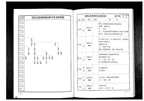 [下载][华夏张氏统谱新建分谱_10卷首1卷]江西.华夏张氏统谱_十一.pdf