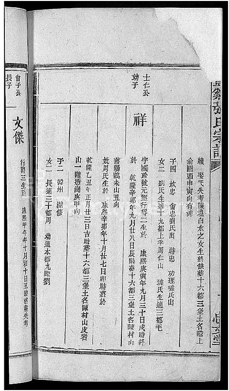 [下载][丰溪张氏宗谱_不分卷]江西.丰溪张氏家谱_九.pdf