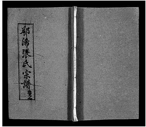 [下载][鄂浠张氏宗谱_8卷首6卷_三溪张氏宗谱_张氏宗谱]江西.鄂浠张氏家谱_九.pdf