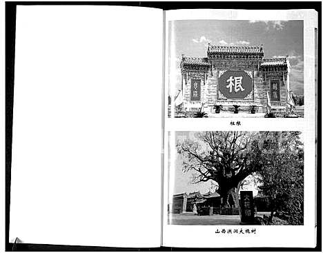 [下载][杨氏宗谱_入宁中寨子始祖杨国强宗支]宁夏.杨氏家谱.pdf