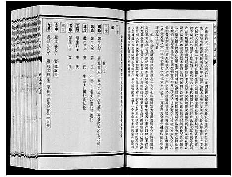 [下载][续修张氏族谱]内蒙.续修张氏家谱_八.pdf