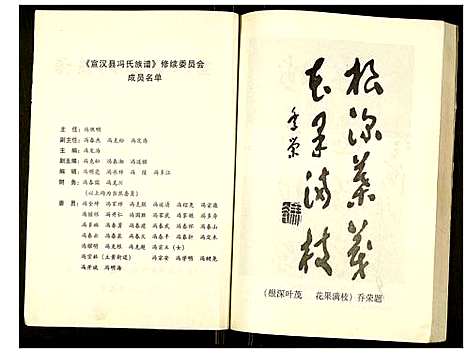 [下载][宣汉县冯氏族谱]四川.宣汉县冯氏家谱.pdf