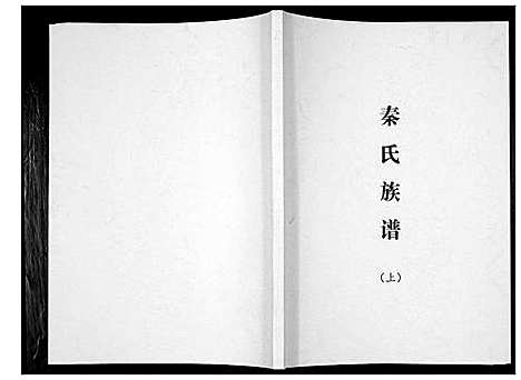 [下载][秦氏族谱]四川.秦氏家谱_一.pdf