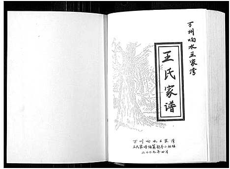 [下载][万州向水王家湾王氏家谱_1册]四川.万州向水王家湾王氏家谱.pdf