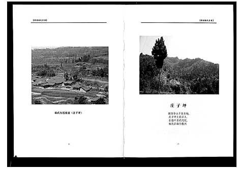 [下载][桥溪杨氏宗谱_不分卷]四川.桥溪杨氏家谱.pdf