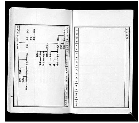 [下载][陈氏族谱_5卷]山东.陈氏家谱_六.pdf