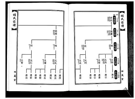 [下载][程氏族谱_8卷]山东.程氏家谱_三.pdf