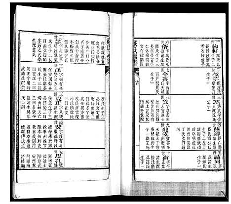 [下载][戴氏族谱_不分卷]山东.戴氏家谱_一.pdf