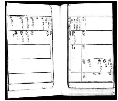 [下载][戴氏族谱_不分卷]山东.戴氏家谱_二.pdf