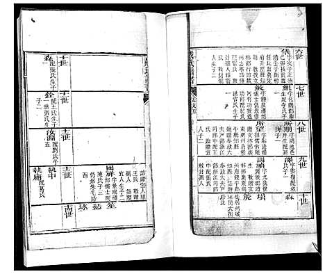 [下载][戴氏族谱_不分卷]山东.戴氏家谱_四.pdf